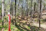 2000 Ponderosa Way - Photo 15