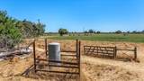 12900 Angrave Road - Photo 94