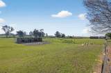 11490 Arno Road - Photo 16