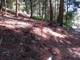 172 Sylvan Road - Photo 10