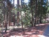 172 Sylvan Road - Photo 15