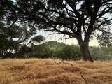 0 Lauren Lane - Photo 13