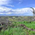 15782 Stagecoach Road - Photo 11