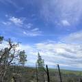 15782 Stagecoach Road - Photo 14