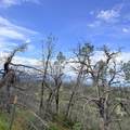 15782 Stagecoach Road - Photo 15