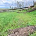 15782 Stagecoach Road - Photo 2