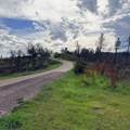 15782 Stagecoach Road - Photo 4