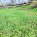 15782 Stagecoach Road - Photo 5