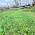 15782 Stagecoach Road - Photo 6