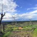 15782 Stagecoach Road - Photo 8