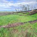 15782 Stagecoach Road - Photo 9