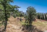 145 Hopfield Drive - Photo 11