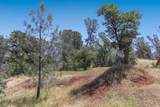 145 Hopfield Drive - Photo 12