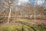 15500 Highway 88 - Photo 47