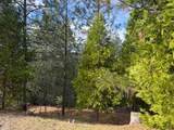 12053 Breckenridge - Photo 5