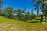 12377 Twin Pines Rd - Photo 2