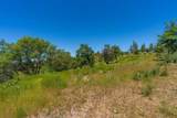 12377 Twin Pines Rd - Photo 23