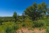 12377 Twin Pines Rd - Photo 25