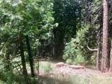 0 Park Woods Drive - Photo 10
