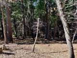 0 Park Woods Drive - Photo 22