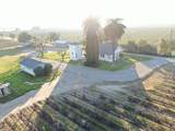 14248 Peltier Road - Photo 39