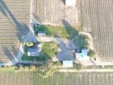 14248 Peltier Road - Photo 44