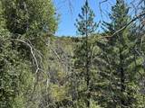 9055 Rodesino Road - Photo 9