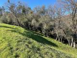 5035 Eagles Nest - Photo 4