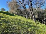 5035 Eagles Nest - Photo 6
