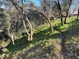 5035 Eagles Nest - Photo 8