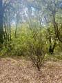 0 Par 26C-4 - Photo 19
