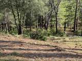 6827 Gray Court - Photo 18