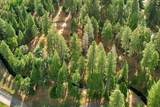 11021 Pittsburg Mine Road - Photo 28