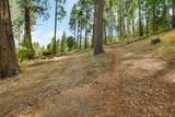 11021 Pittsburg Mine Road - Photo 5