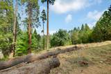 11021 Pittsburg Mine Road - Photo 7