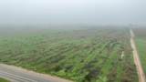 0 Road 208 - Photo 1
