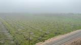0 Road 208 - Photo 4