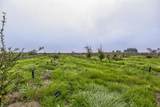 0 Road 208 - Photo 5
