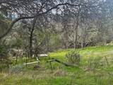 4394 Appaloosa Way - Photo 3