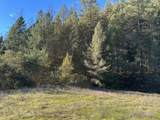 0 Tree Top Lane - Photo 11