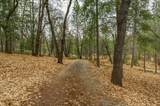 14752 Little Greenhorn Road - Photo 31