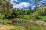 0 Sutter Creek Road - Photo 8