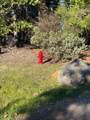 5060 Pony Express Trail - Photo 19