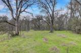 0 Scott Forbes Road - Photo 31