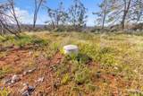 4446 Fremonts Loop - Photo 17