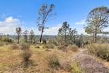 4446 Fremonts Loop - Photo 32
