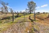 4446 Fremonts Loop - Photo 43