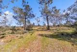 4446 Fremonts Loop - Photo 45