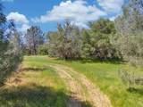 14331 Beitler Road - Photo 10