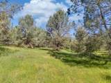 14331 Beitler Road - Photo 11